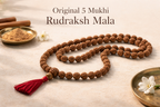 Aurayah 5 mukhi Rudraksh Mala [certified]