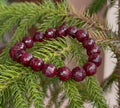 Aurayah Ruby Bracelet - Diamond Cut [10mm]